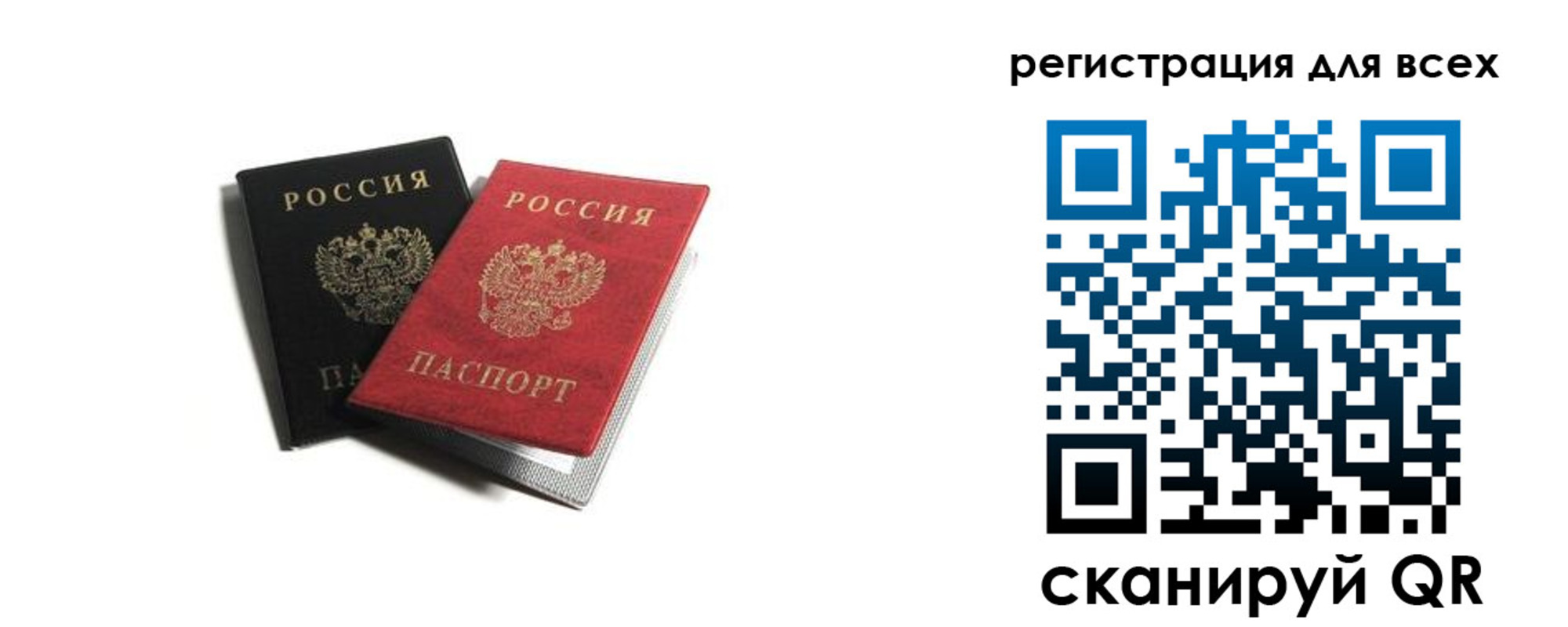 прописка гарантия в Бронницах